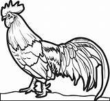 Realistic Coloring Pages Rooster Chicken Clipart Chickens Printable Print Sheets Clip Library Roosters Animal Hens Mpmschoolsupplies sketch template