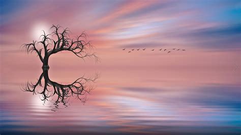 sunset red sky cloud lake  wood birds  flight reflection  water art hd wallpapers