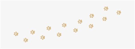paw print trail dog paw trail png  transparent png