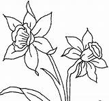 Orchid Coloring Pages Color Printable Coloringcrew Print Getdrawings Getcolorings sketch template