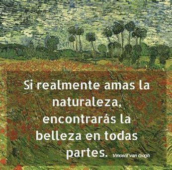 frases de van gogh arte  pintura vincent van gogh