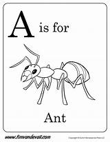 Ant Coloring Preschool Alphabet Printable Printables Kids Color Pages Letter Worksheets Timvandevall Ants Learning Colouring Tim Preschoolers Words Activities Apple sketch template