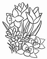 Flower Coloring Pages Printable Kids Color Print sketch template