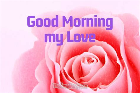 sweet good morning messages   true love words