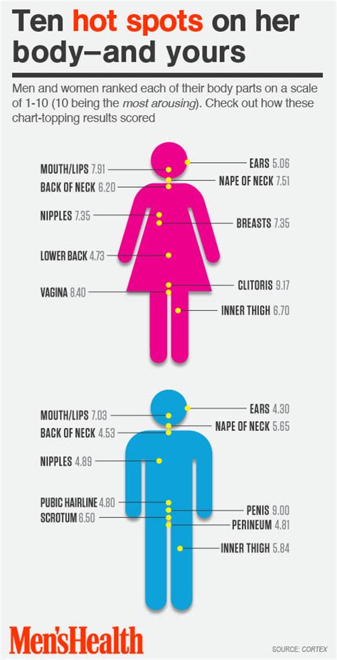 les zones érogènes chez l homme et la femme 100 masculin
