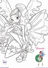Winx Mythix Layla Gardenia Colorea Aisha Multimedia sketch template