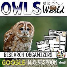 owls report research project organizers google classroom research