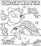 Underwater2 sketch template