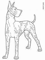 Coloring Pages Dane Great Dog Color Colouring Adult German Drawing Dogs Scottish Printable Animal Kids Drawings Dover Publications Book Terrier sketch template
