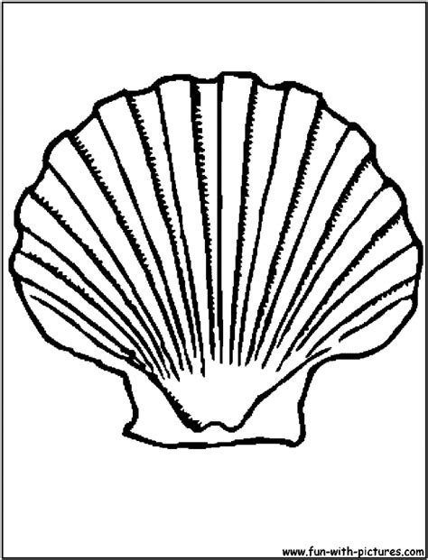 printable seashell coloring pages coloring home