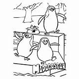 Madagascar Penguins Coloring Kleurplaat Kleurprentje Kleurplaten Printen sketch template