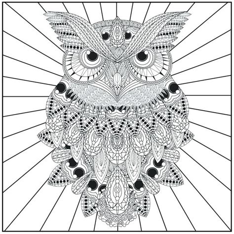 owl coloring pages  adults  getcoloringscom  printable