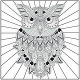 Coloring Pages Owl Adults Owls Getcolorings Ow Printable sketch template