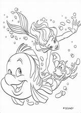 Coloring Flounder Pages Ariel Mermaid Little Comments sketch template