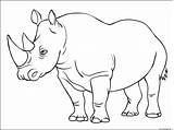 Rhinoceros Mammiferes Appartenant Famille Sauvages sketch template