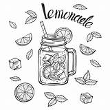Lemonade Slice Straw Mug Vecteezy Vectorbox sketch template
