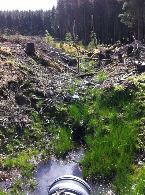 clearfelling timber   soil run   nearby streams