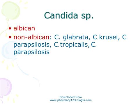 ppt candidiasis powerpoint presentation free download id 2973992