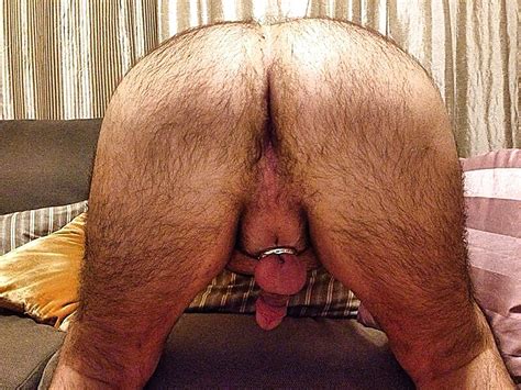 Cul Poilu Sexy Gay Hairy Ass 15 Pics Xhamster