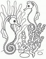 Seahorse Carle sketch template