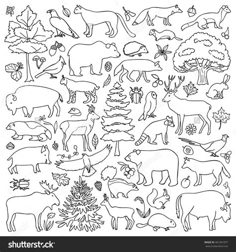 coloring pages  forest animals forest coloring pages