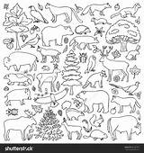 Forest Coloring Animals Pages Doodle Animal Color Printable Vector Sheets Kids Adults Preschool Getcolorings Wild Bubakids Choose Board Royalty sketch template