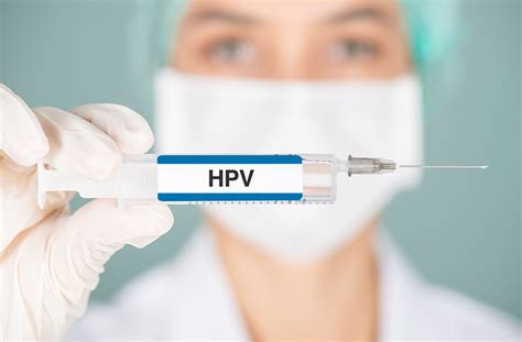 dna vaccine leads  immune responses  hpv related head  neck