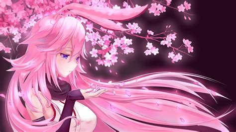 pink anime wallpapers wallpaper cave