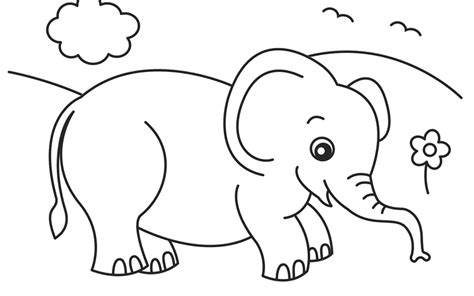 elephant outline drawing  getdrawings