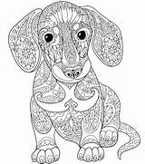 Mandala Coloring Pages Dog Printable Print Dachshund Puppy Pug Mandalas Adults Animal Color Adult Getcolorings Getdrawings Dogs Goldendoodle Colouring Ausmalen sketch template