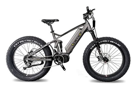fat tire electric bikes reviews  ratings