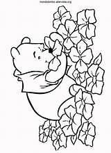 Winnie Pooh Fiori Annusa sketch template