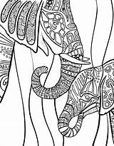 Coloring Pages Adults Elephants Elephant Getcolorings Print Adult Getdrawings sketch template