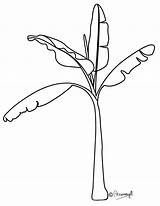 Outline Plant Printable Clipground sketch template