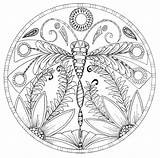 Mandala Dragonfly Coloring Pages Floral Adults Favecrafts Adult sketch template