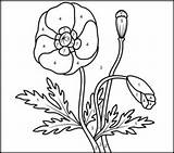 Poppy Number Color Printable Coloring Flowers Printables Pages Kids Coloritbynumbers sketch template