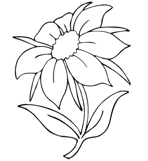 summer flowers coloring page