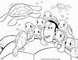 Nemo Coloring Finding Pages Bruce Colouring Library Clipart sketch template