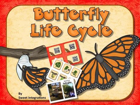 science  writing butterfly life cycle slideshow mini book