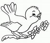 Kids Birds Coloring Pages Bird Comments Rio sketch template