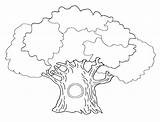Coloring Bare Tree Getdrawings sketch template