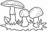 Coloring Mushrooms Pages Mushroom Animated Coloringpages1001 sketch template