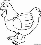 Hen Coloringall sketch template