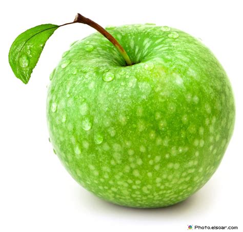 fresh green apples  jpegs elsoar