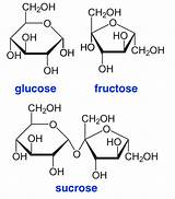 Fructose Glucose Sucrose Galactose sketch template