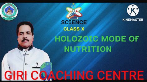 holozoic mode  nutrition class  youtube