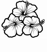 Hibiscus Artofdrawing Siterubix sketch template