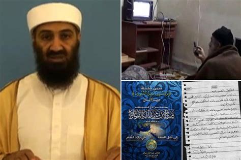 osama bin laden porn stash extensive collection found in al qaeda leader s hideout mirror online