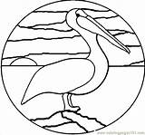 Pelican Coloring Patterns Printable Pages Stained Glass Birds Online Mosaic Coloringpages101 Quilt Color Choose Board sketch template
