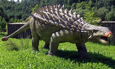 heaviest ankylosaurus top  weight  ankylosaurus dinoanimalscom